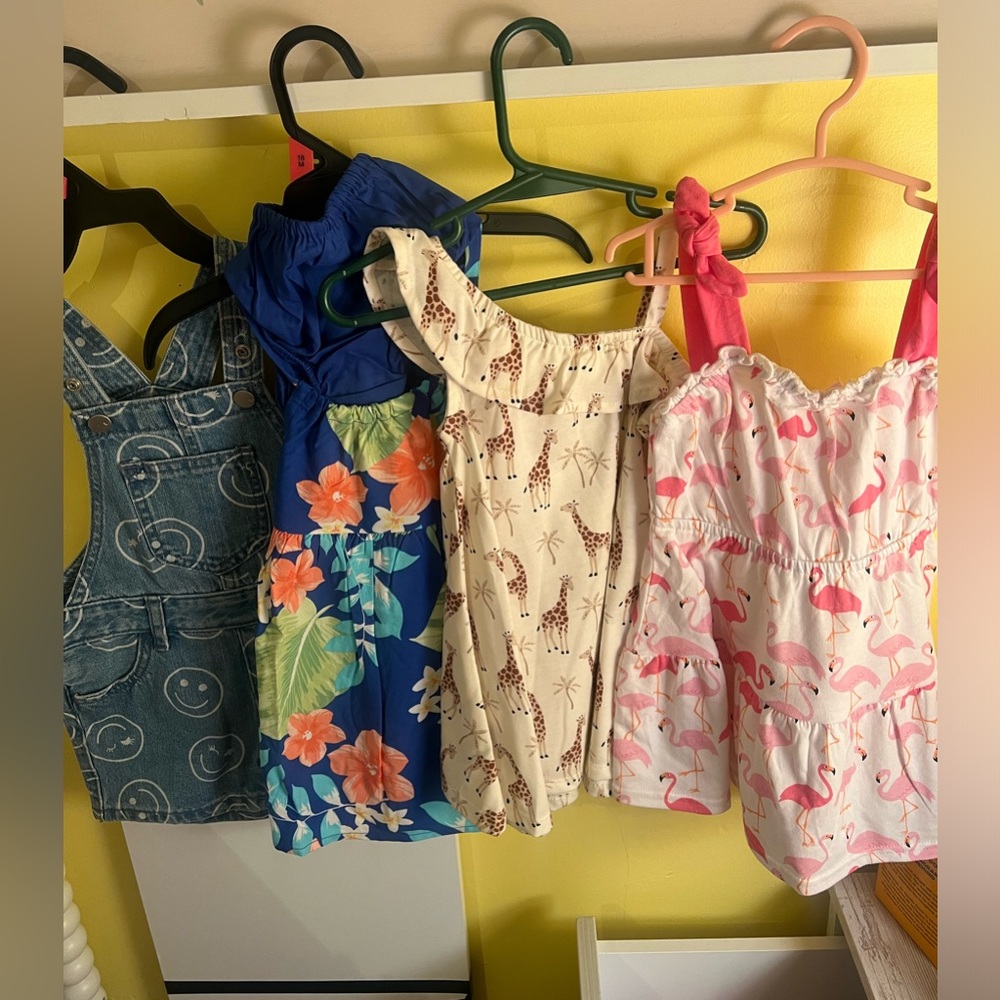 Toddler girls clothes mostly 18/24m some outliers smaller and bigger.
